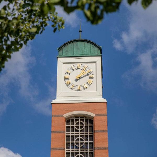 一个钟钟的钟顶被画在前景的树枝上.