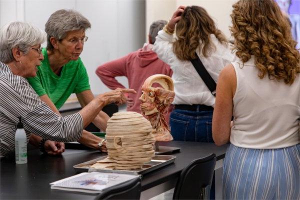 参观人员在德沃斯跨专业健康中心的解剖实验室里观看塑化标本.