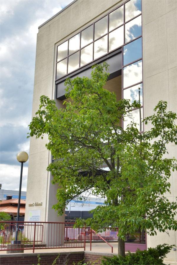 exterior of Kendall Center with tree at left, windows on top framing the entryway